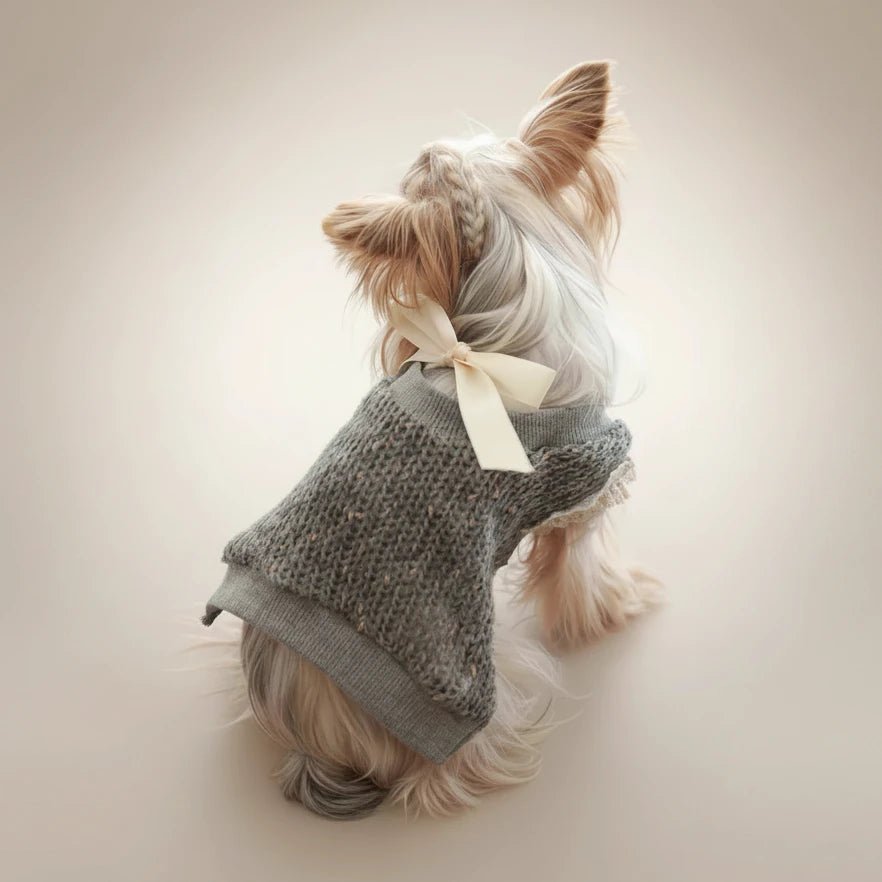 Yorkshire Terrier small dog sweater Coquette light grey lace bow adorable
