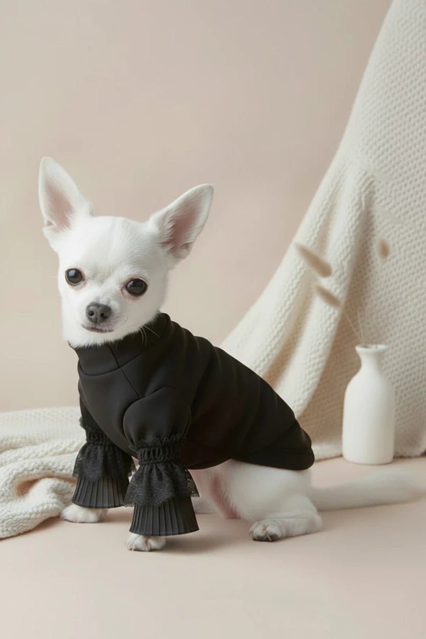 Mona & Milo Moonlace turtleneck top featuring a fitted design with moonlace fabric and long sleeves on a neutral background.