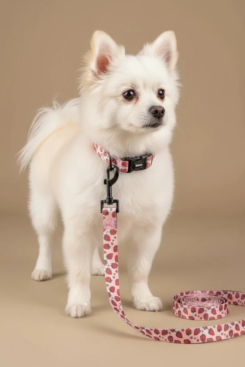 Savane Dog Harness, Collar & Leash Set- Strawberry