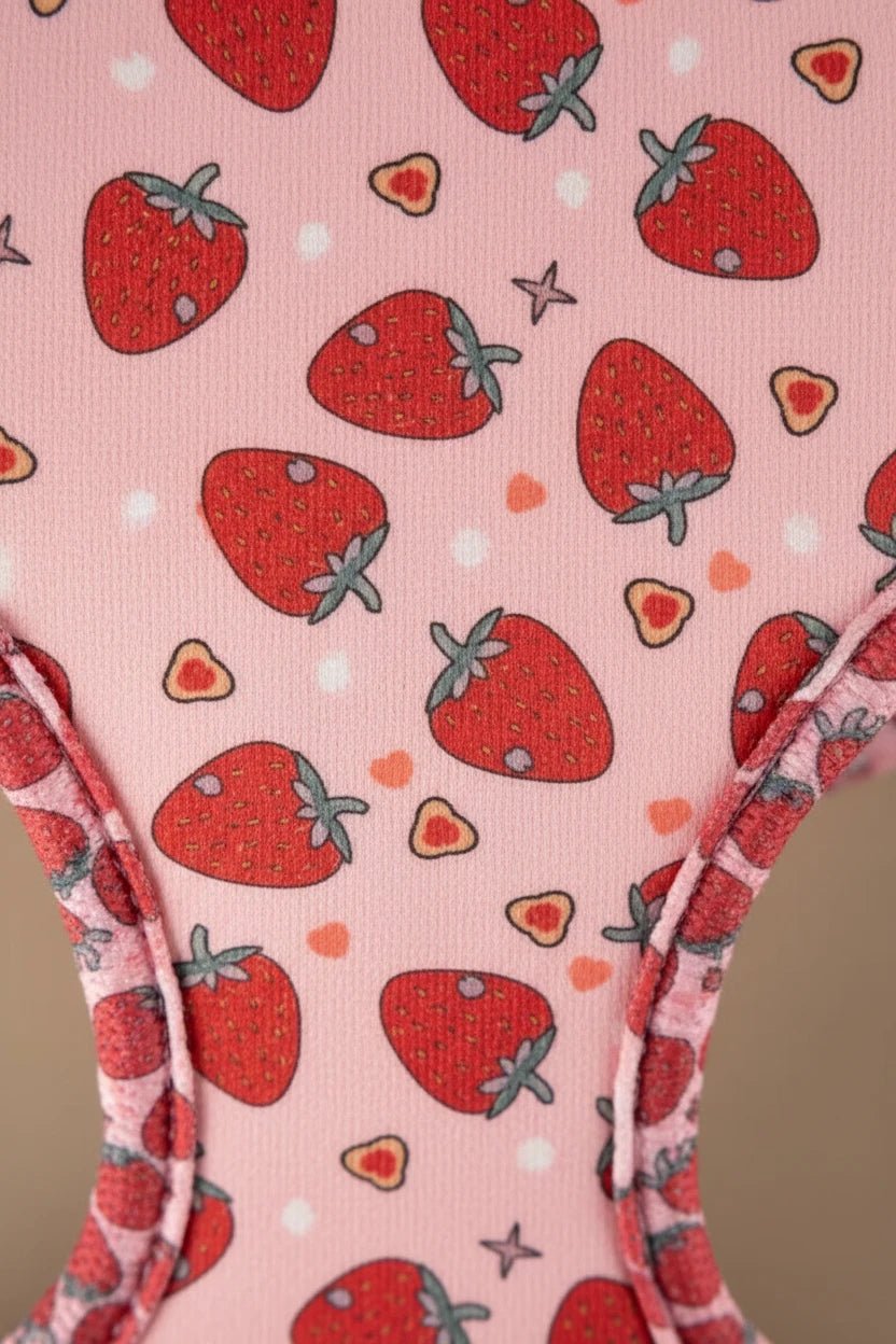 Savane Dog Harness, Collar & Leash Set- Strawberry