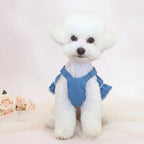 Dog wearing a blue dress - Mona & Milo 