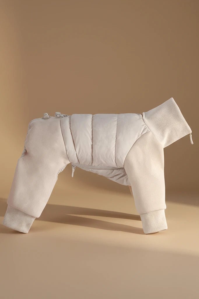 •	“Small dog wearing Petit Alps Four-Legged Dog Jacket, turtleneck, full leg coverage, with leash D-Ring”
	•	“Four-legged winter dog jacket, soft polyester, adjustable fit”
	•	“Cozy dog jacket with turtleneck, full coverage, leash-ready”