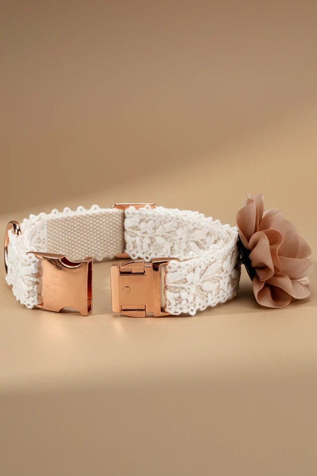 Luxury small dog collar set for Shih Tzu floral matching leash
