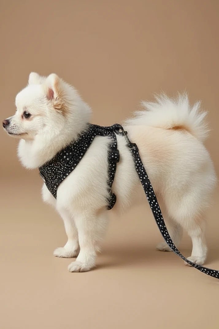 Savane Dog Harness, Collar & Leash Set – Night Stars