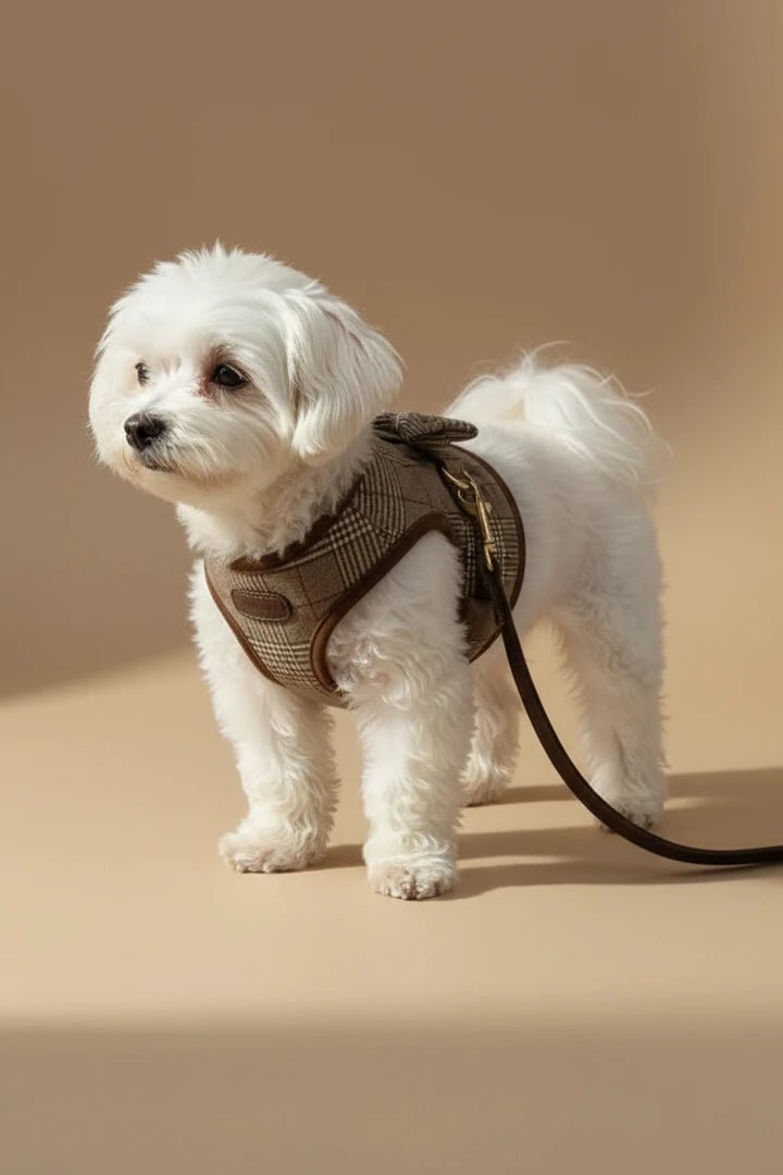 Flâner Plaid Dog Harness