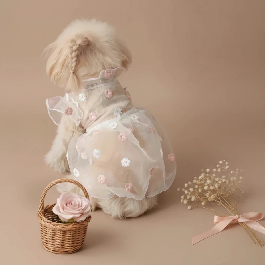 Mona & Milo Daisy Sheer Dress with flowy fabric and floral pattern, lightweight and stylish for warm weather wear.