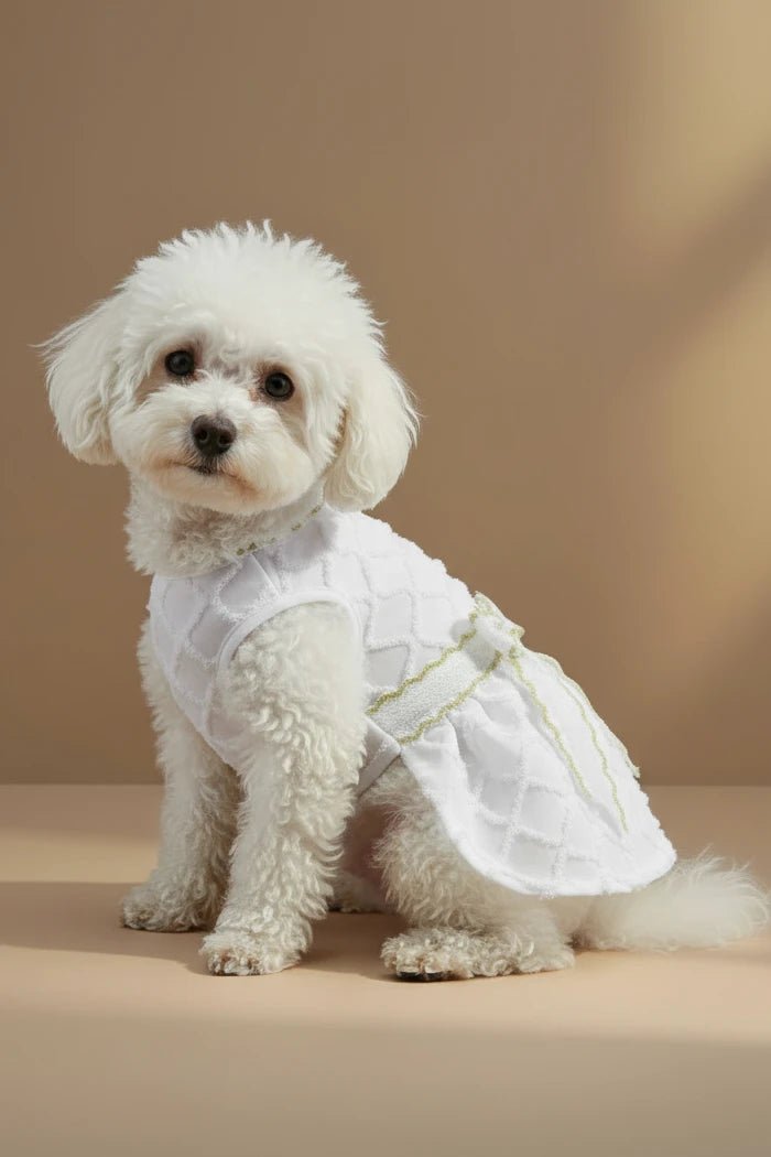 Glamour Dog Dress