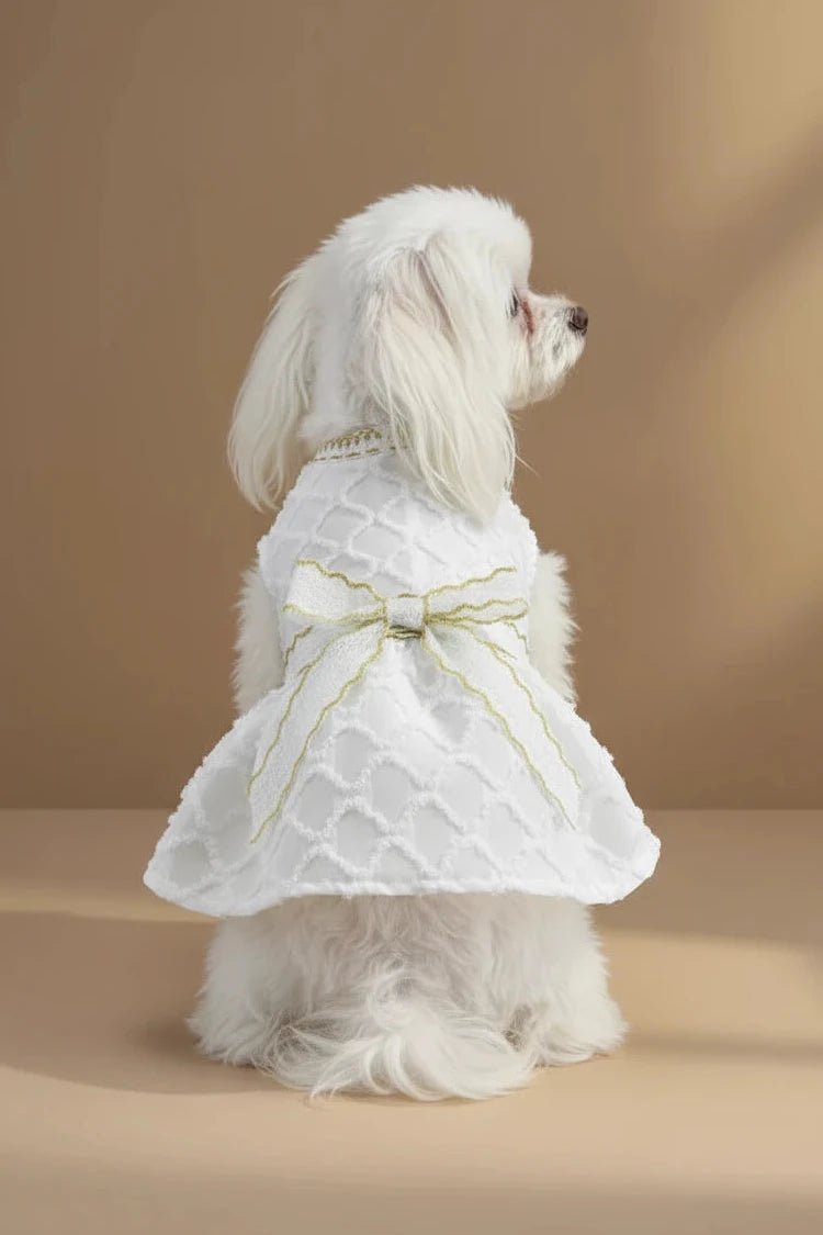 Glamour Dog Dress