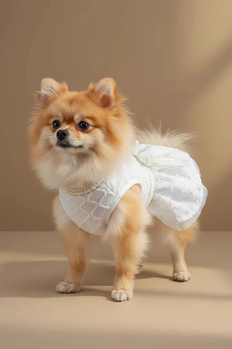 Glamour Dog Dress