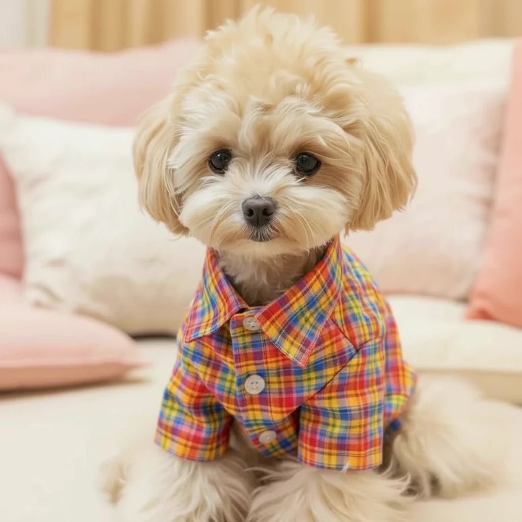 Mona & Milo Fiesta plaid shirt, men's casual button-up shirt with red and blue checkered pattern