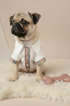 Yorkshire Terrier small dog shirt Henley white cotton plaid adorable
