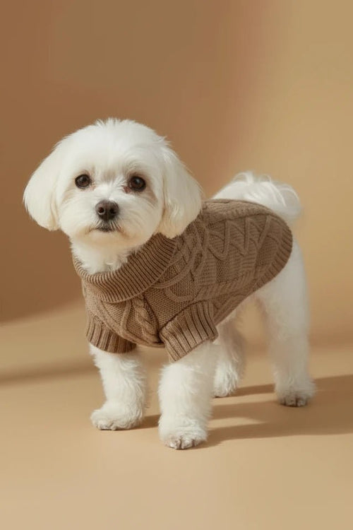 Amelia Dog Sweater