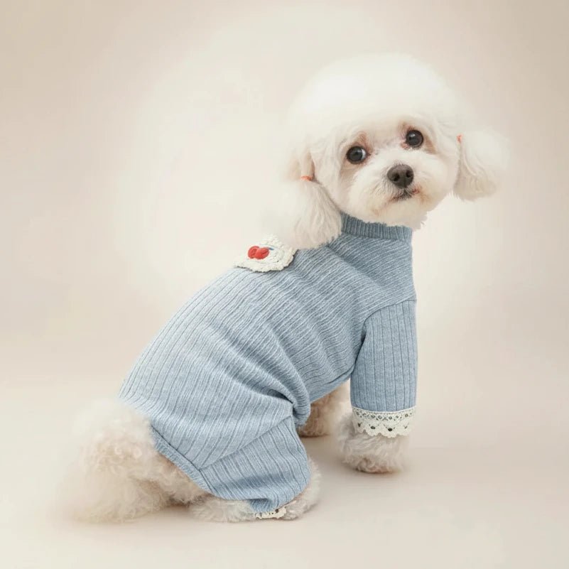 Chihuahua small dog knit onesie Naptastic blue four-legged adorable
