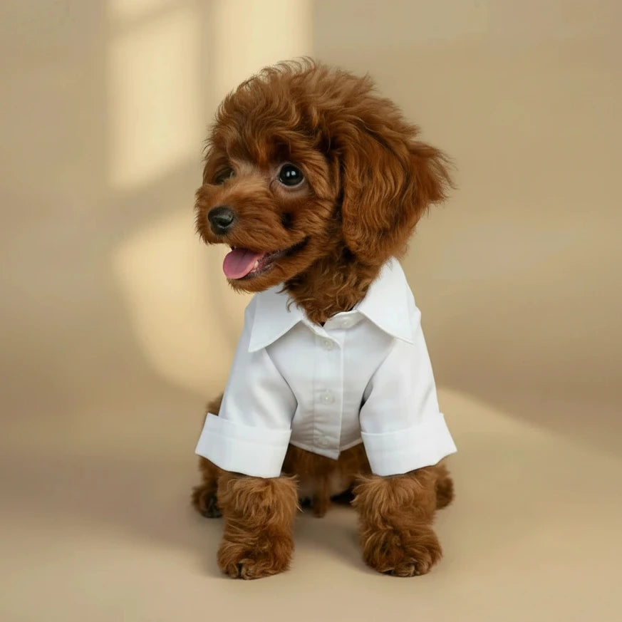Mona & Milo Henley Dress Shirt in soft fabric, featuring a classic collar, button placket, and long sleeves.