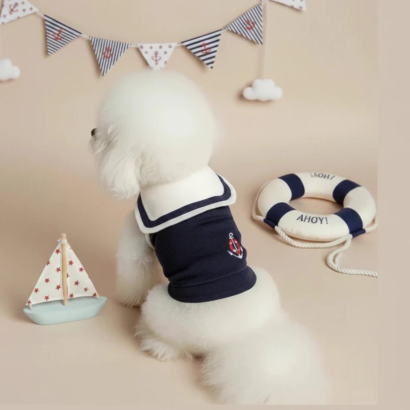 Chihuahua small dog sailor top Nautica navy blue anchor detail charming
