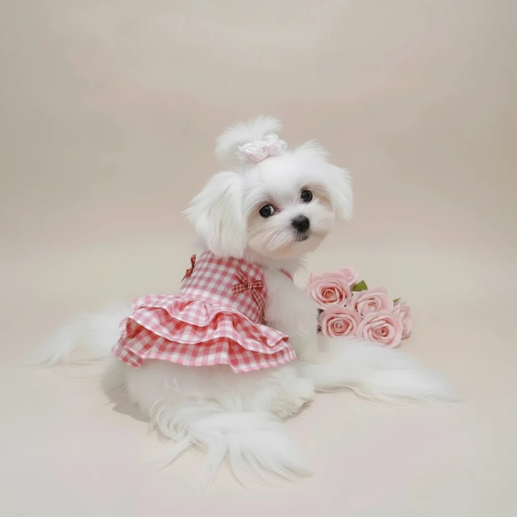 Mona & Milo Rosette Cotton Gingham Dress with ruffled sleeves and bow detail, displayed on a hanger.
