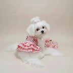 Mona & Milo Rosette Cotton Gingham Dress with ruffled sleeves and bow detail, displayed on a hanger.
