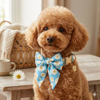 Adjustable breathable dog harness and leash set with collar, bandana, bow tie, and waste bag holder for small pets.