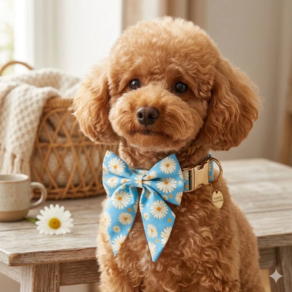 Adjustable breathable dog harness and leash set with collar, bandana, bow tie, and waste bag holder for small pets.