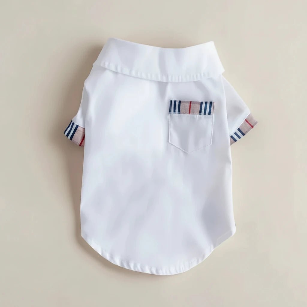 Small dog cotton shirt Henley white plaid details classic elegant
