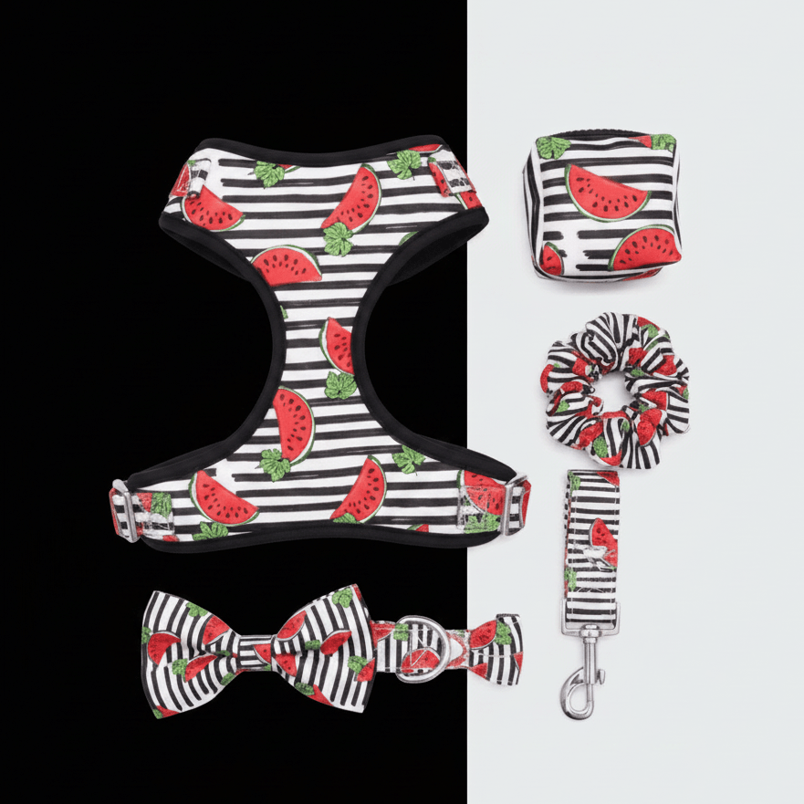 Dog harness for small to medium dogs. Mona & Milo. Watermelon pattern.